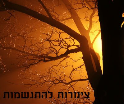 צינורות להתגשמות