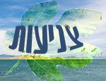 צניעות