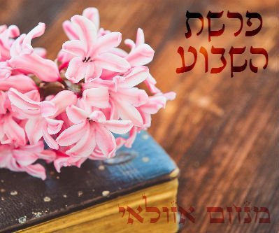 פרשת בשלח – שבת שירה