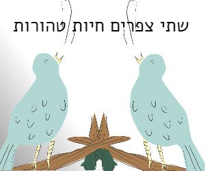 קדושת הניגון