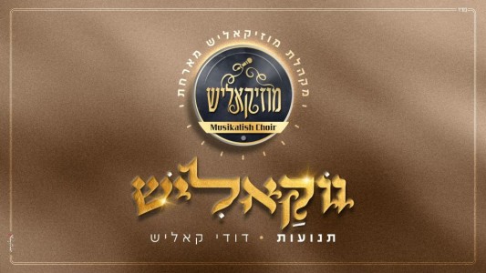 ווקאליש #1 - מקהלת מוזיקאליש מארחת את דודי קאליש "תנועות"