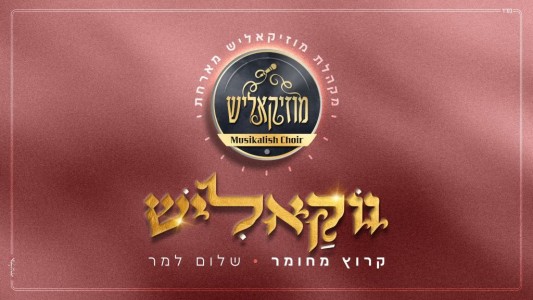 ווקאליש #3 - מקהלת מוזיקאליש מארחים את שלום למר "קרוץ מחומר"