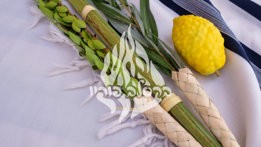 חג הסוכות